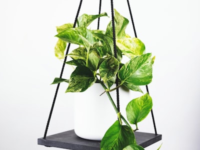 阿根廷国家队球队标志及球星梅西特写